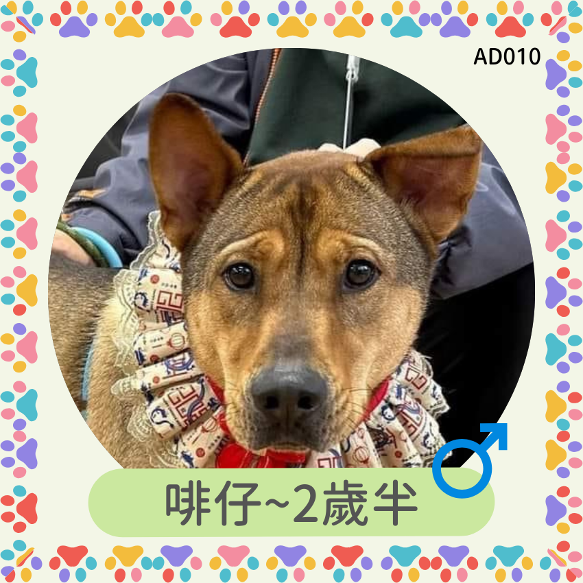 啡仔